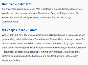 Screenshot-Detail der Website der Schleswiger Stadtwerke